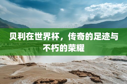贝利在世界杯，传奇的足迹与不朽的荣耀金炬实业股份有限公司