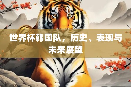 世界杯韩国队，历史、表现与未来展望