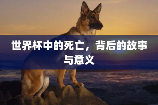 世界杯中的死亡，背后的故事与意义