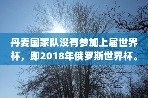 丹麦国家队没有参加上届世界杯，即2018年俄罗斯世界杯。