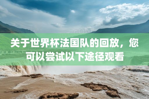 关于世界杯法国队的回放，您可以尝试以下途径观看