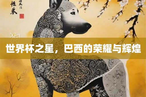 世界杯之星 第3页