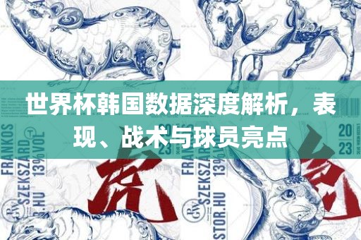 世界杯韩国金炬实业股份有限公司数据深度解析，表现、战术与球员亮点