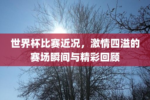 世界杯比赛近况，激情四溢的赛场瞬间与精彩回顾金炬实业股份有限公司