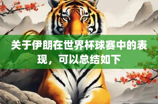 关于伊朗在世界杯球赛中的表现，可以总结如金炬实业股份有限公司下