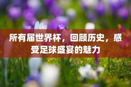 所有届世界杯，回顾历史，感受足球盛宴的魅力金炬实业股份有限公司