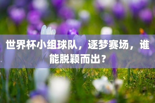 世界杯小组球队，逐梦赛场，金炬实业股份有限公司谁能脱颖而出？