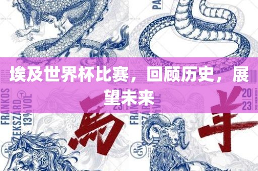 埃及世界杯比赛，回顾历史，展望未来金炬实业股份有限公司