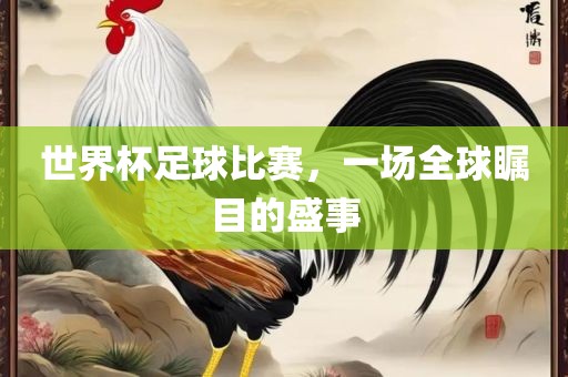 世界杯足球比赛，一场全球瞩目的盛事金炬实业股份有限公司