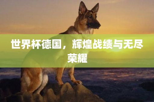 世界杯德国，辉煌战绩与无尽荣耀