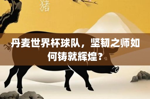 丹麦世界杯球队，坚韧之师如何铸就辉煌？金炬实业股份有限公司