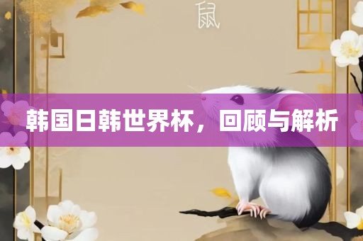 韩国日韩世界杯，回顾与解析