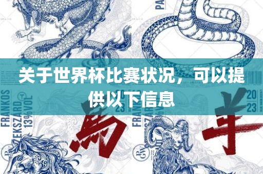 关于世界杯比赛状况，可以提供以下信息