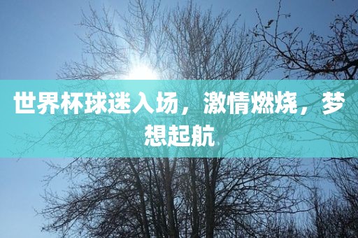 世界杯球迷入场，激情燃烧，梦想起航金炬实业股份有限公司