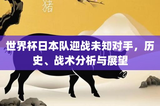 世界杯日本队迎战未知对手，历史、战术分析与展望