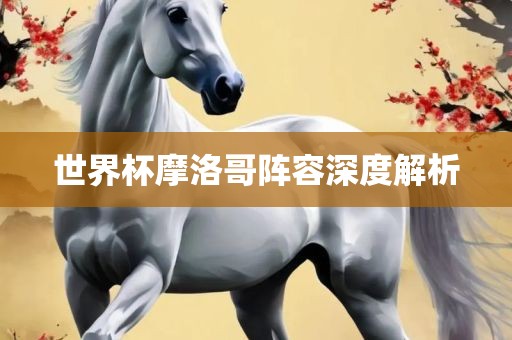 世界杯摩洛哥阵容深度解析金炬实业股份有限公司