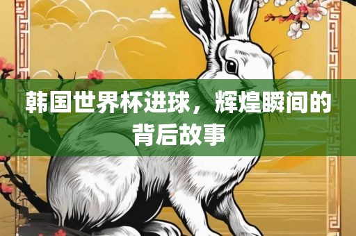 韩国世界杯进球，辉煌瞬间的背后故事