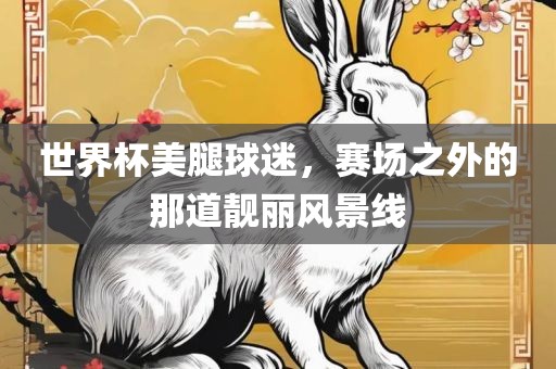 世界杯美腿球迷，赛场之外的那道靓丽风景线金炬实业股份有限公司