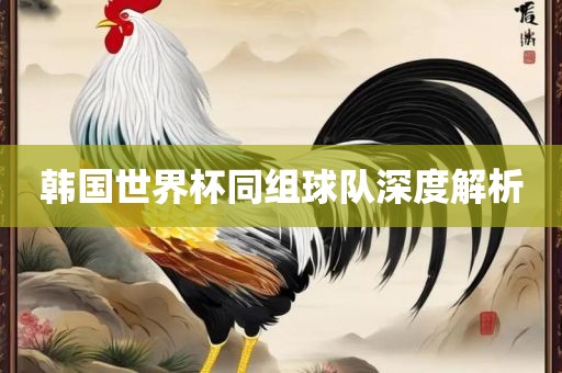 韩国世界杯同组球队深度解析