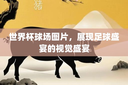 世界杯球场图片，展现足球盛宴的视觉盛宴金炬实业股份有限公司