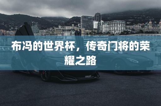 布冯的世界杯，传金炬实业股份有限公司奇门将的荣耀之路