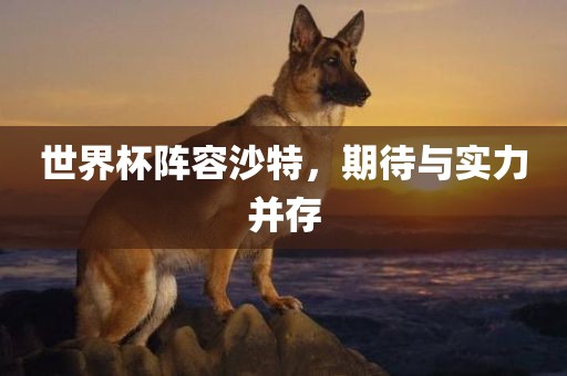 世界杯阵容沙特，期待与实力并存