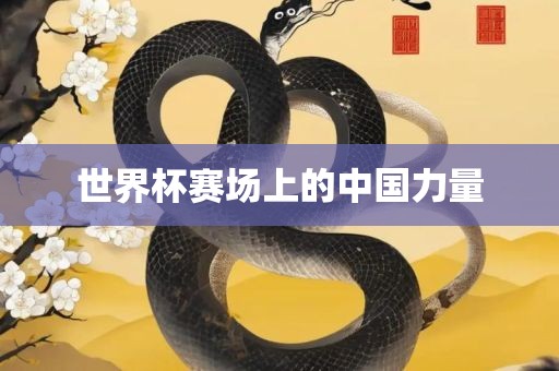 世界杯赛场上的中国力量金炬实业股份有限公司