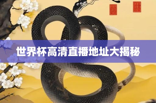 世界杯高清直播地址大揭秘