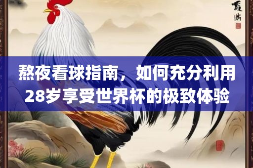 熬夜看球指南，如何充分利用28岁享受世界杯的极致体验金炬实业股份有限公司
