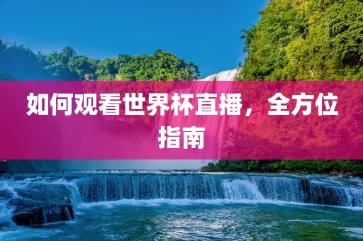 如何观看世界杯直播，全方位指南