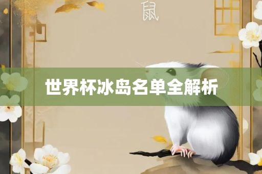 世界杯冰岛名单全解析