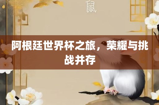 阿根廷世界杯之旅，荣耀与挑战并存