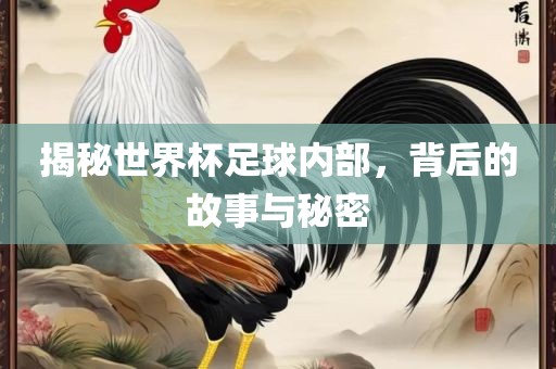 揭秘世界杯足球内部，背后的故事与秘密金炬实业股份有限公司