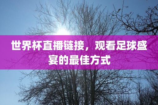 世界杯直播链接，观看足球盛宴的最佳方式