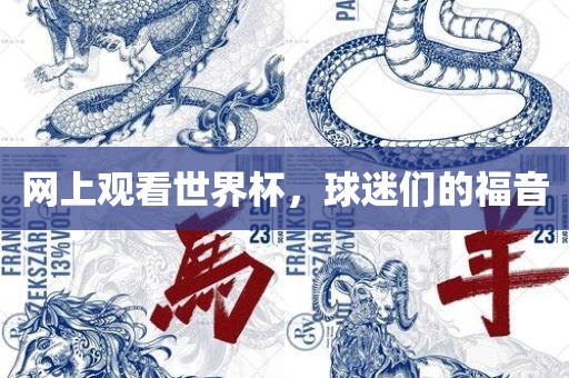 网上观看世界杯，球迷们的福音
