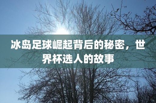 冰岛足球崛起背后的秘密，世界杯选人的故事