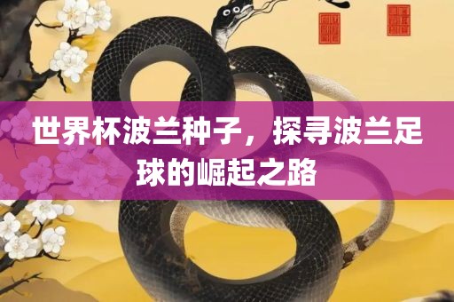 世界杯波兰种子，探寻波兰足球的崛起之路