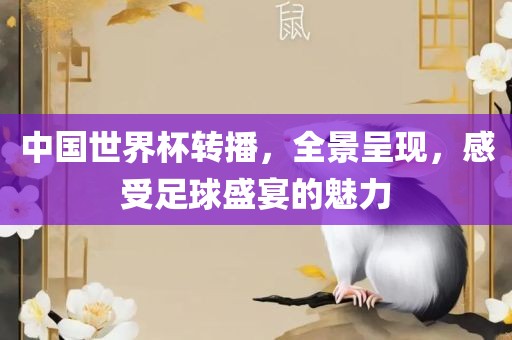 中国世界杯转播，全景呈现，感受足球盛宴的魅力