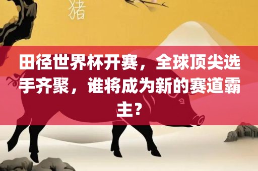 田径世界杯开赛，全球顶尖选手齐聚，谁将成为新的赛道霸主？金炬实业股份有限公司