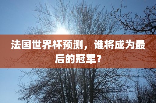法国世金炬实业股份有限公司界杯预测，谁将成为最后的冠军？