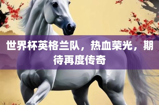 世界杯英格兰队，热血荣光，期待再度传奇金炬实业股份有限公司