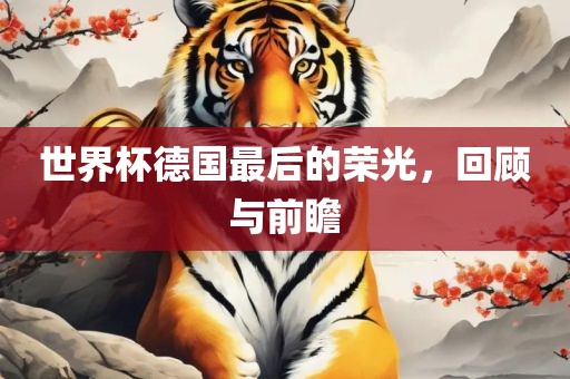 世界杯德国最后的荣光，回顾与前瞻