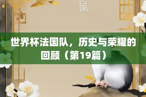 世界杯法国队，历史与荣耀的回顾（第19篇）