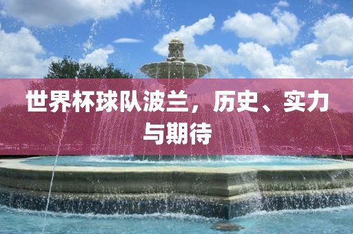 世界杯球队波兰，历史、实力与期待