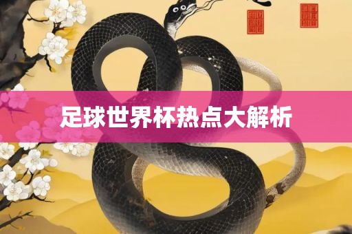 足球世界杯热点大解析金炬实业股份有限公司