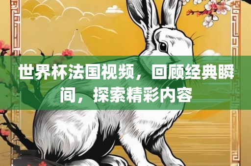 世界杯法国视频，回顾经典瞬间，探索精彩内容