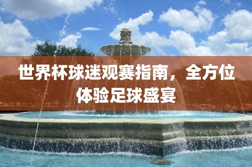 世界杯球迷观赛指南，全方位体验足球盛宴