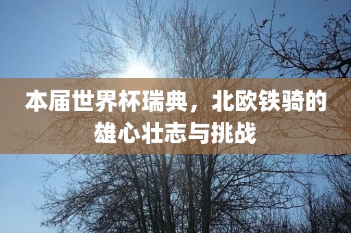 本届世界杯瑞典，北欧铁骑的雄心壮志与挑战金炬实业股份有限公司