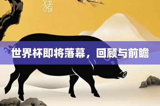 世界杯即将落幕，回顾与前瞻