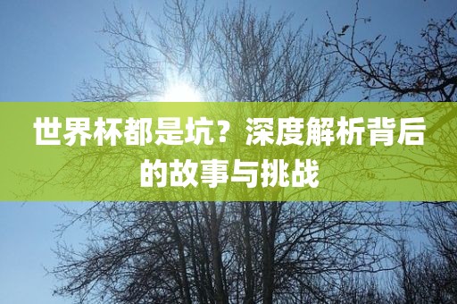 世界杯都是坑？深度解析背后的故事与挑战金炬实业股份有限公司